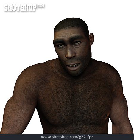 
                Vorfahre, Neandertaler                   
