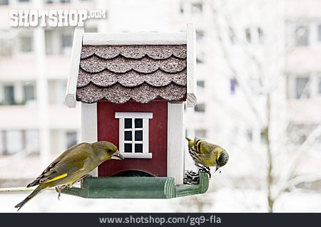 
                Vogelhaus, Winterfütterung                   