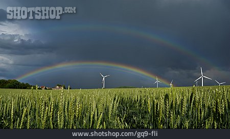 
                Regenbogen, Kornfeld                   