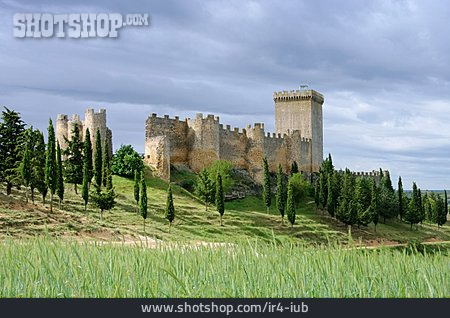 
                Burg, Festung, Penaranda De Duero                   