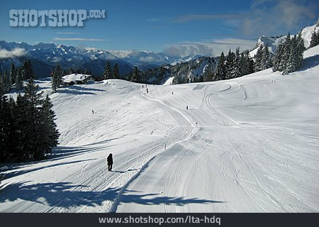 
                Ski Slope                   
