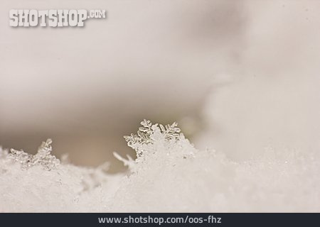 
                Schnee, Eisblume                   