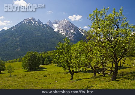 
                Alpen, Berchtesgadener Land                   