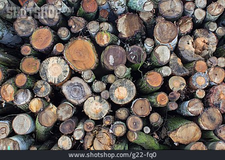 
                Holz, Holzstapel                   
