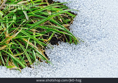 
                Gras, Eis, Tauwetter, Schneeschmelze                   