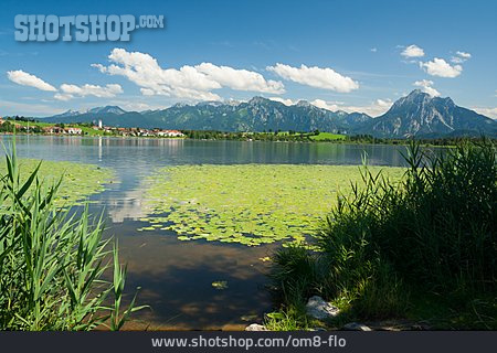 
                Allgäu, Hopfensee                   