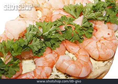 
                Garnelen, Shrimps                   