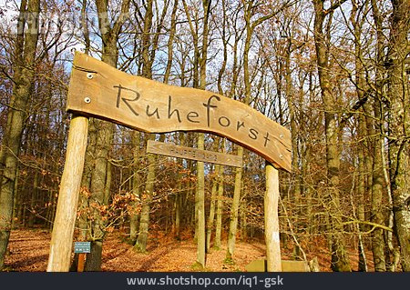 
                Wald, Schild, Buchenwald                   