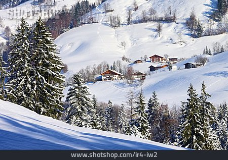 
                Winter, Alp                   
