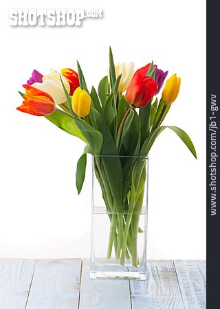 
                Tulpe, Blumenstrauß, Frühling                   
