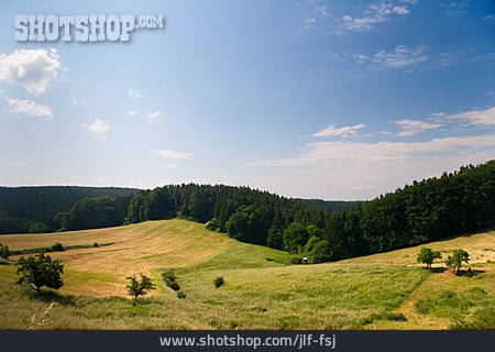 
                Ländlich, Thüringen, Thüringer Wald                   