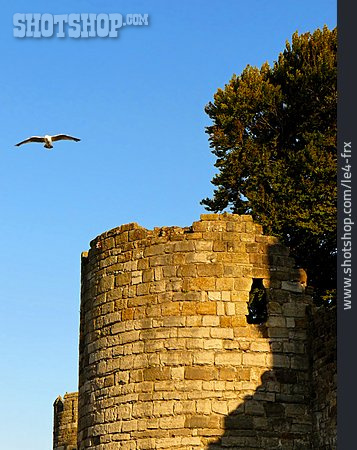 
                Caernarfon, Caernarfon Castle                   