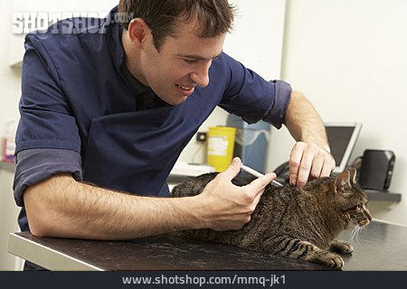 
                Behandlung, Tierarztpraxis, Tierarzt                   