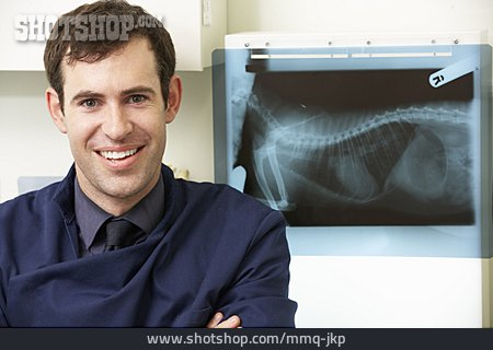 
                Röntgenbild, Röntgen, Tierarzt                   