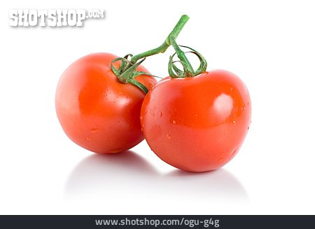 
                Tomate, Strauchtomate                   