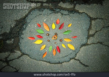 
                Asphalt, Straßenkunst, Herbstblätter                   