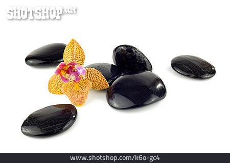
                Kieselstein, Feng Shui, Orchideenblüte                   