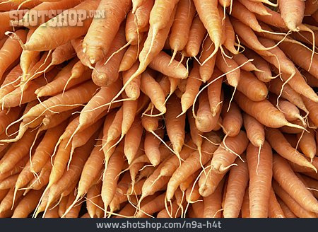 
                Carrot                   