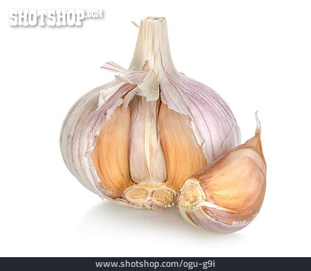 
                Knoblauch, Knoblauchknolle                   