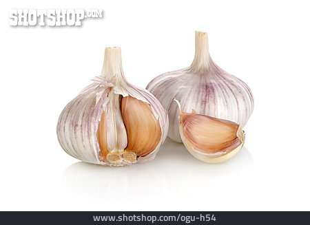 
                Knoblauch, Knoblauchzwiebel                   