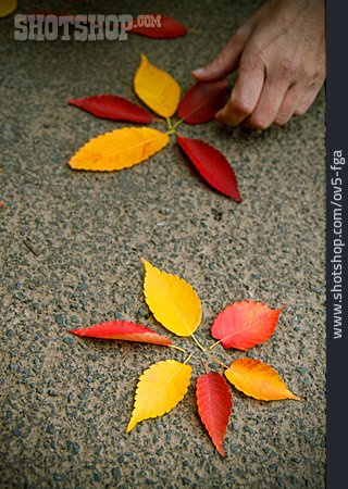 
                Autumn Leaves, Creativity                   