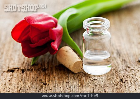 
                Tulpe, Aromaöl                   