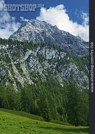 
                Alpen, Tirol                   
