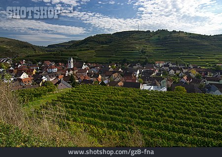 
                Weinbau, Rheinebene, Vogtsburg Im Kaiserstuhl                   