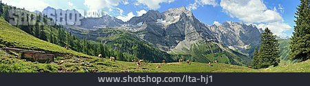 
                Almwiese, Karwendel, Alm                   