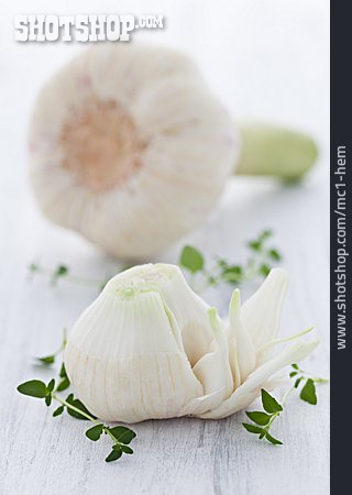 
                Knoblauch, Knoblauchzehe                   