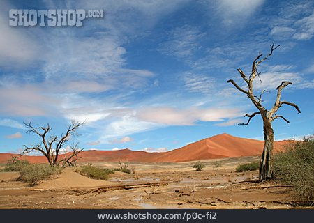 
                Dürre, Sossusvlei, Namib-wüste                   
