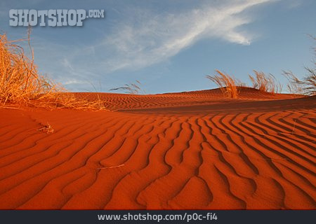 
                Dürre, Sossusvlei, Namib-wüste                   