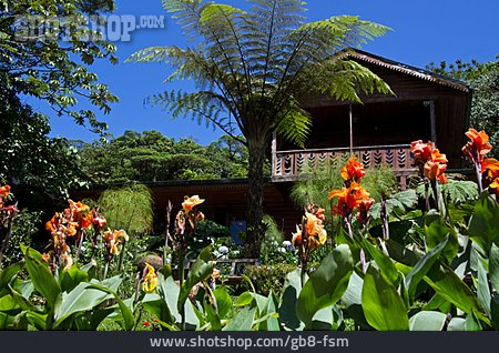 
                Garten, Tropisch, Costa Rica, Monteverde                   