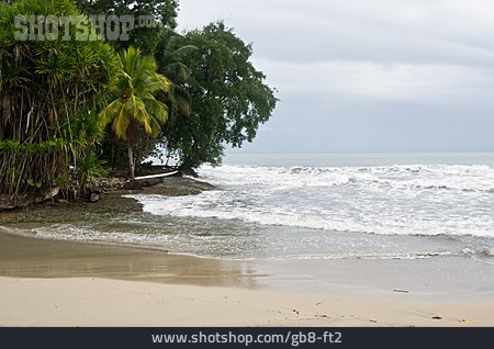 
                Strand, Meer, Karibikküste, Cahuita                   