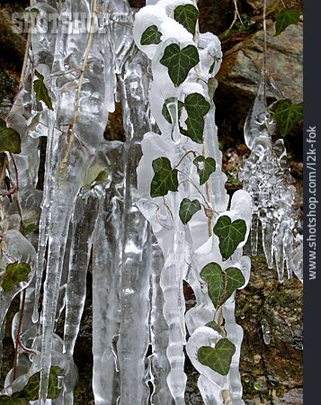 
                Eiszapfen, Efeu, Eingefroren                   