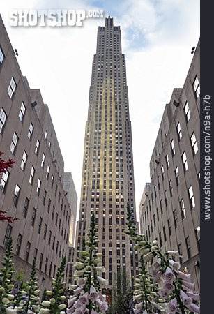
                Rockefeller Center                   
