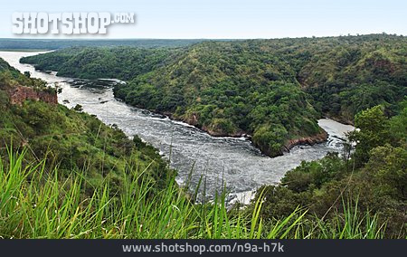 
                Uganda, Murchison Falls, Viktoria-nil                   