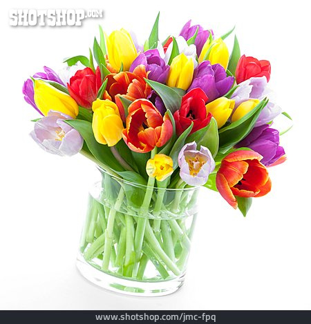 
                Tulpenstrauß, Blumenvase                   