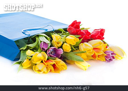 
                Tulpe, Geschenktüte, Blumengeschenk                   
