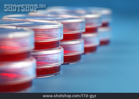 
                Forschung, Genetik, Petrischale, Blutprobe                   