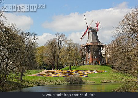 
                Park, Windmühle, Bremen                   