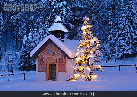 
                Christmas, Christmas Tree, Chapel                   