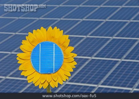 
                Solarpanel, Regenerative Energie                   