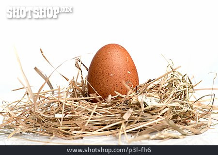 
                Hühnerei, Nest                   