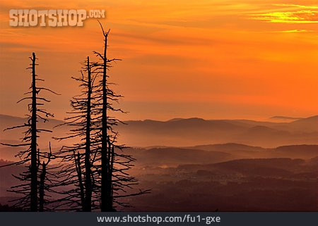 
                Sonnenuntergang, Stimmungsvoll, Bayerischer Wald                   