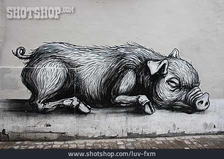 
                Schwein, Streetart, Ferkel                   