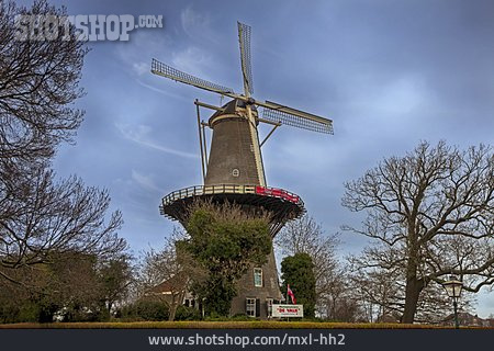 
                Windmühle, Leiden                   