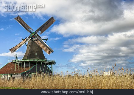 
                Windmühle, Zaanse Schans                   