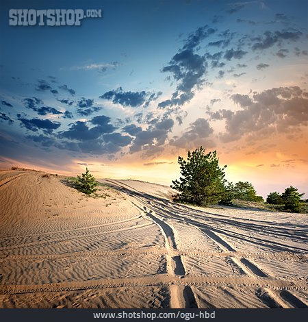 
                Landschaft, Wüste, Düne                   