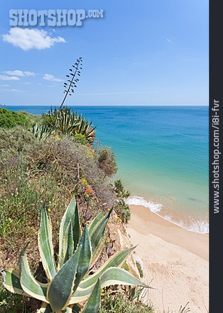 
                Algarve, Praia Do Vau                   